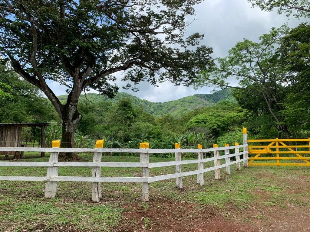 Land in Santa Cruz, Guanacaste Province, Costa Rica 5 - 18237335