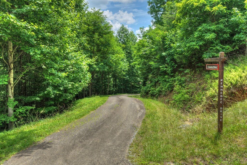 Land in Mineral Bluff, Georgia, United States 4 - 18238220