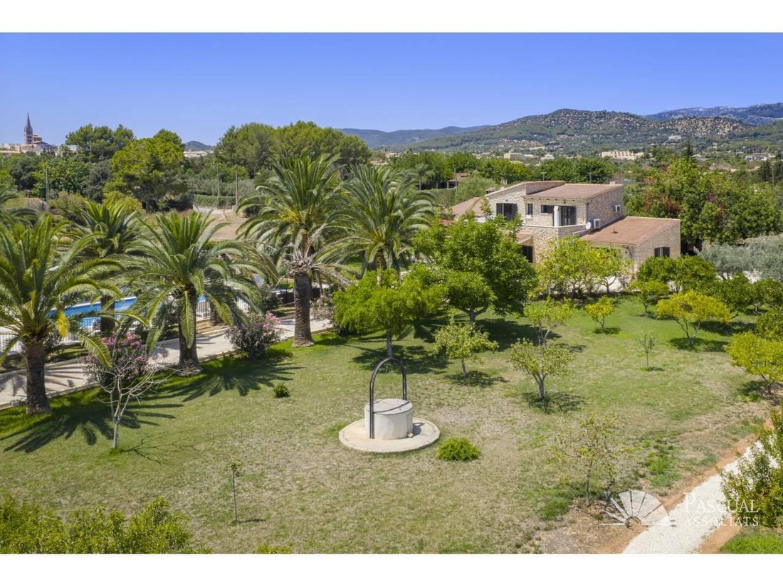 House in Binissalem, Balearic Islands, Spain 4 - 18242602