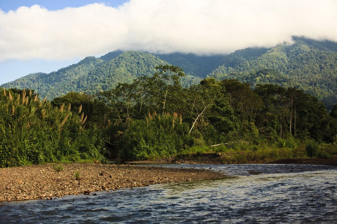 Land in Quepos, Puntarenas Province, Costa Rica 4 - 18237685