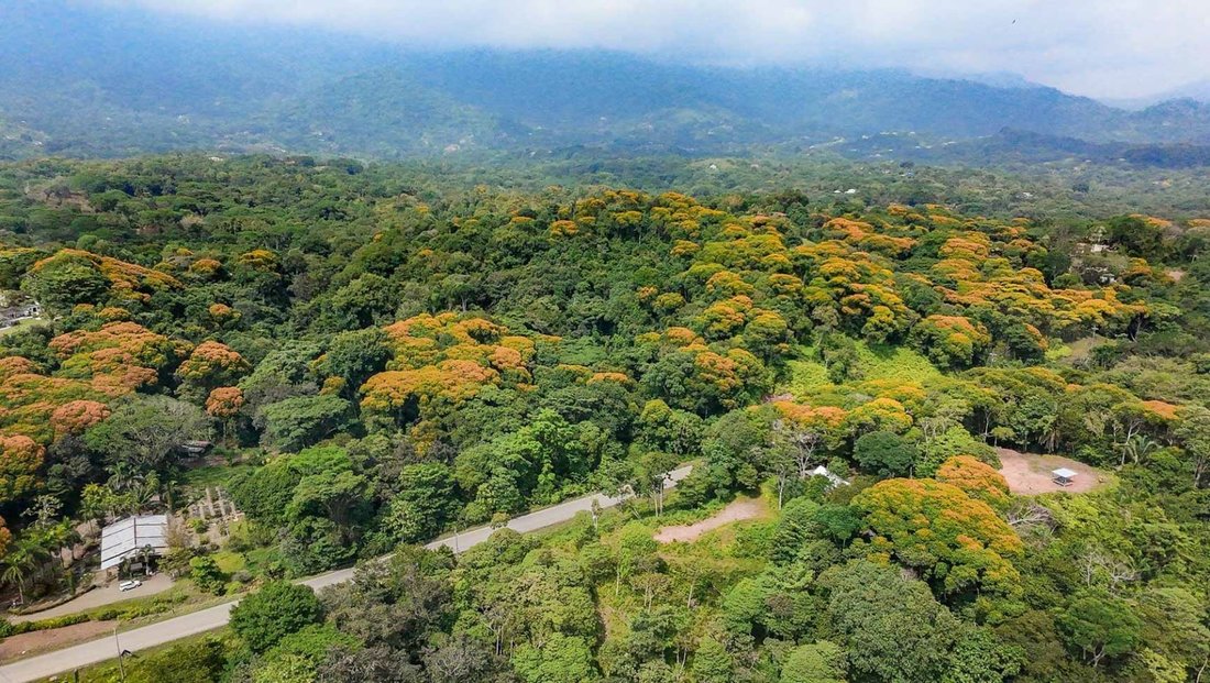 Land in Ojochal, Puntarenas Province, Costa Rica 1 - 18241538