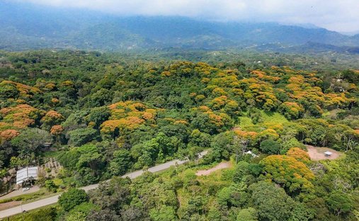 Land in Ojochal, Puntarenas Province, Costa Rica 1