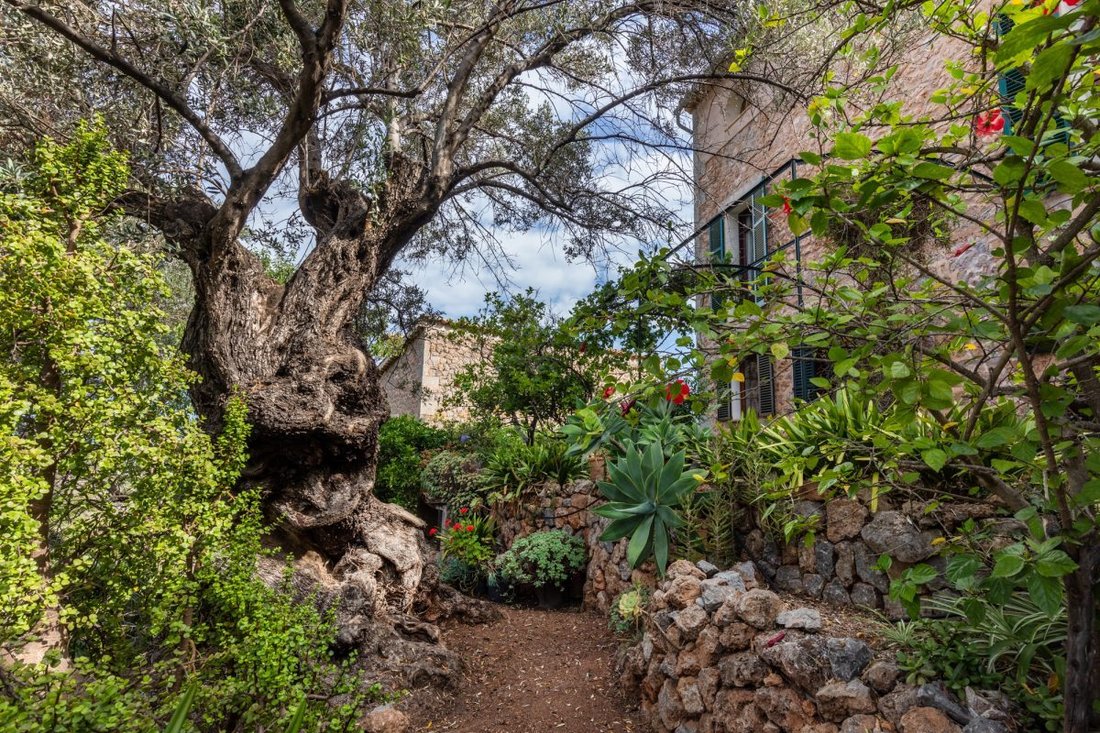 Casa a Deià, Isole Baleari, Spagna 4 - 18242025