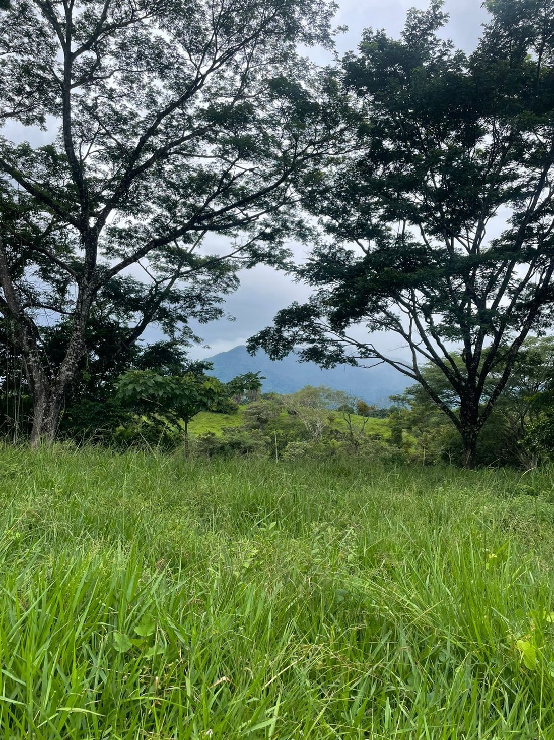 Terrain à Turrubares, Turrubares, Costa Rica 2 - 18239902