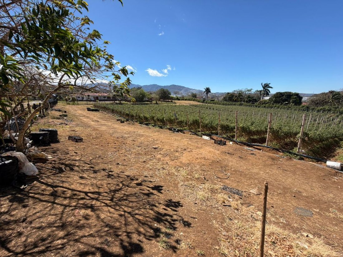 Land in Alajuela, Costa Rica 2 - 18240135