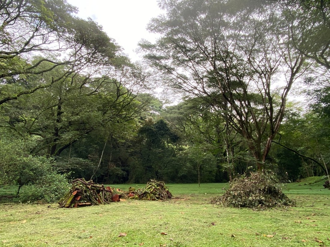 Land in Orotina, Orotina, Costa Rica 3 - 18238775