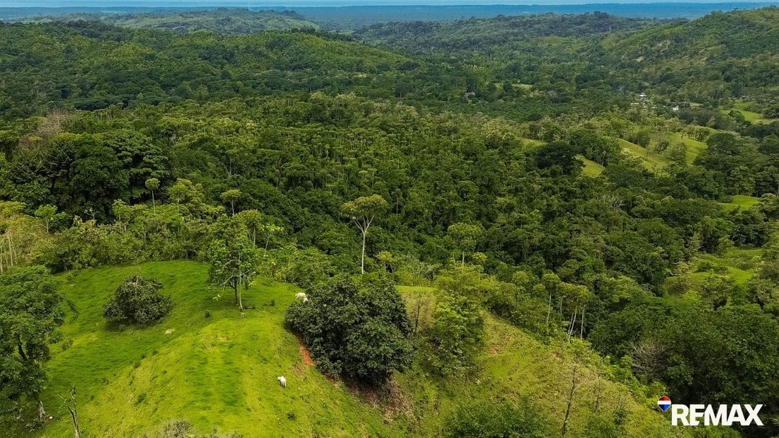 Land in Parrita, Costa Rica 4 - 18245809