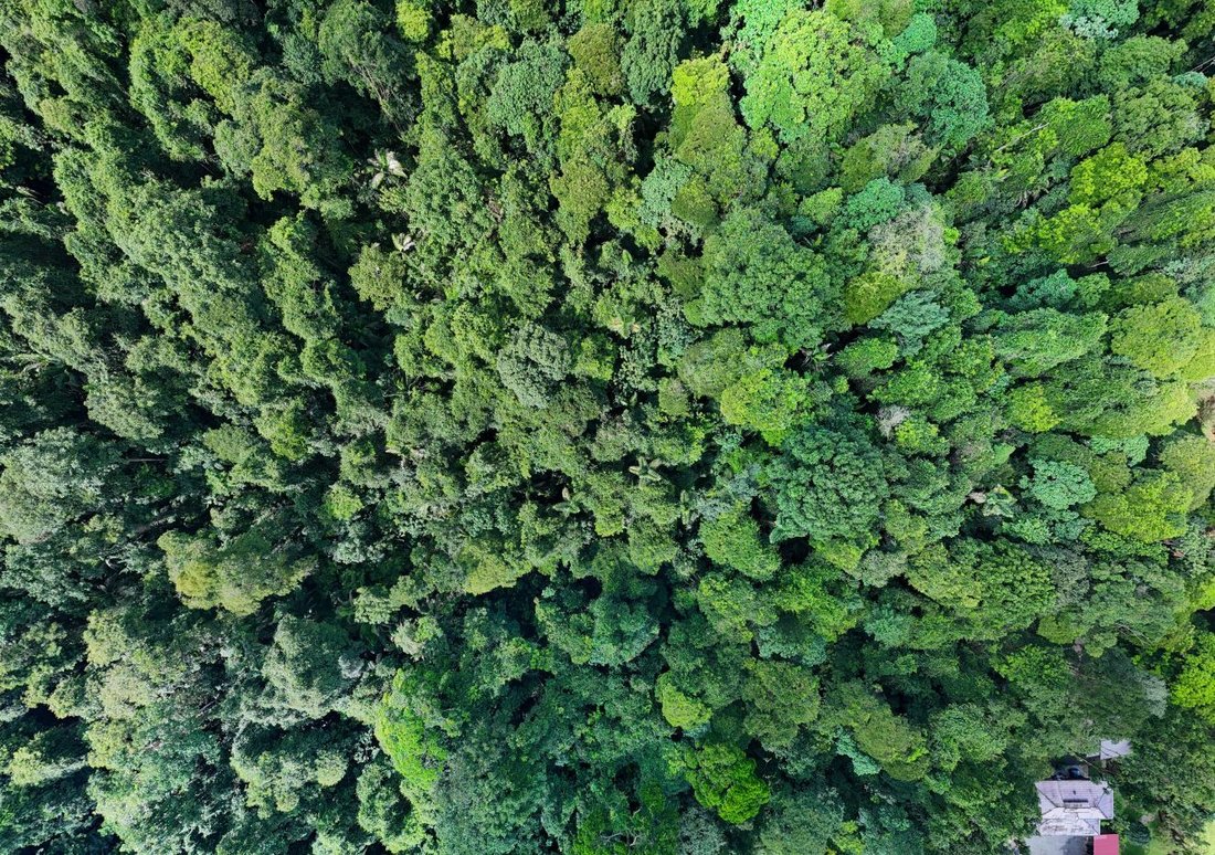 Land in Sarapiquí, Sarapiqui, Costa Rica 3 - 18240144