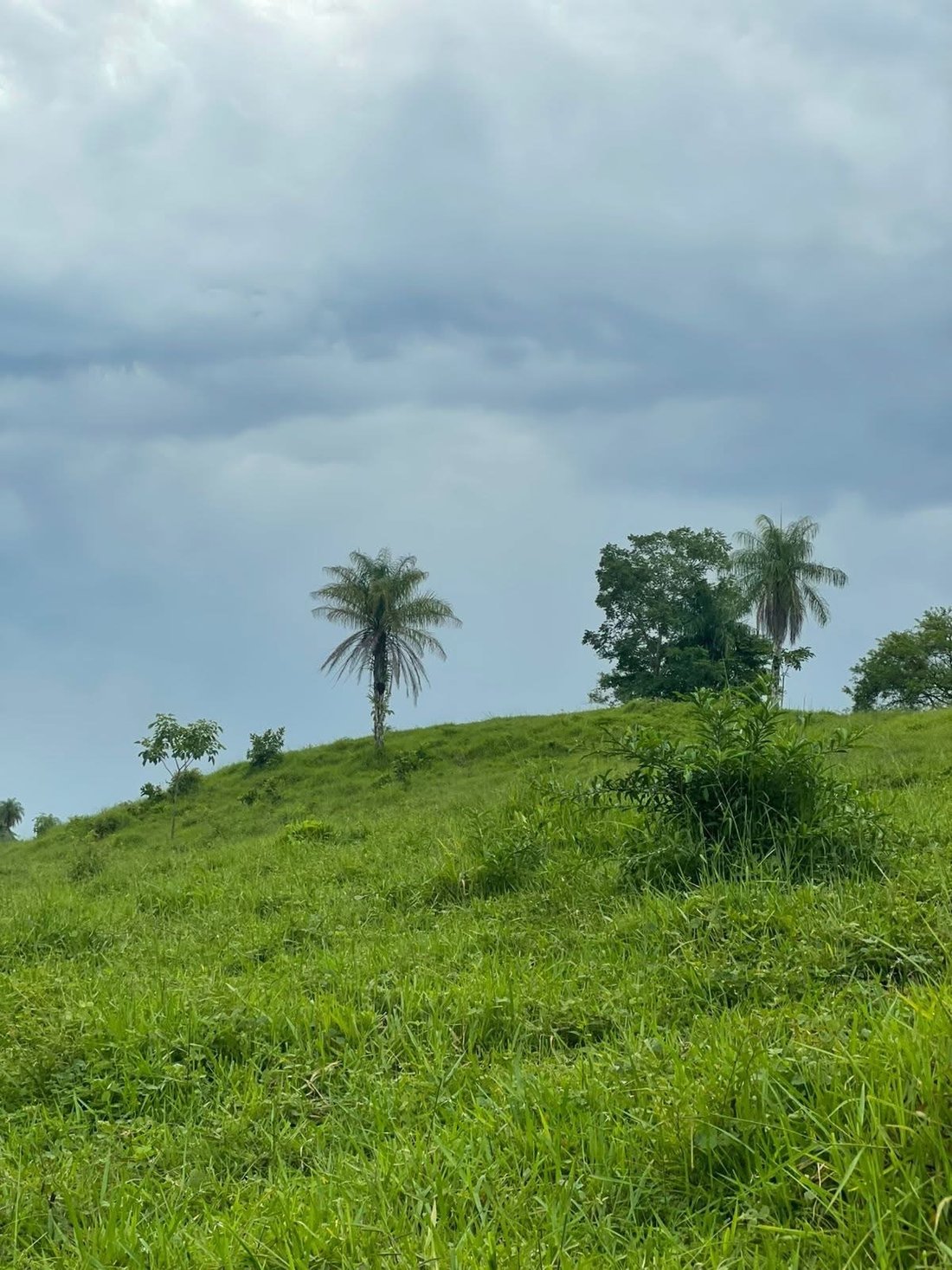 Terrain à Carara, San José, Costa Rica 3 - 18239288