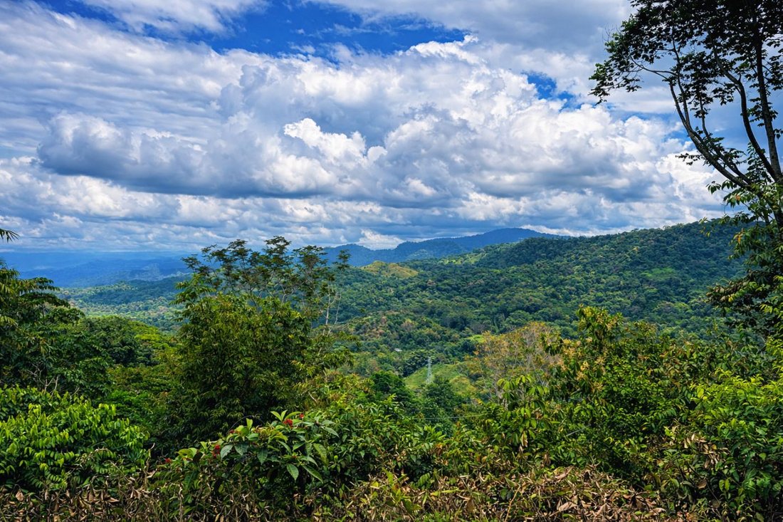 Land in Savegre de Aguirre, Puntarenas Province, Costa Rica 2 - 18238975