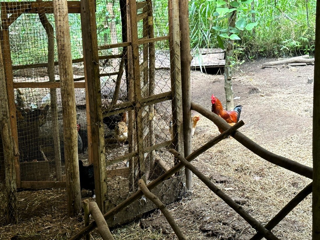 Land in Finca Puntarenas, Puntarenas Province, Costa Rica 3 - 18241270