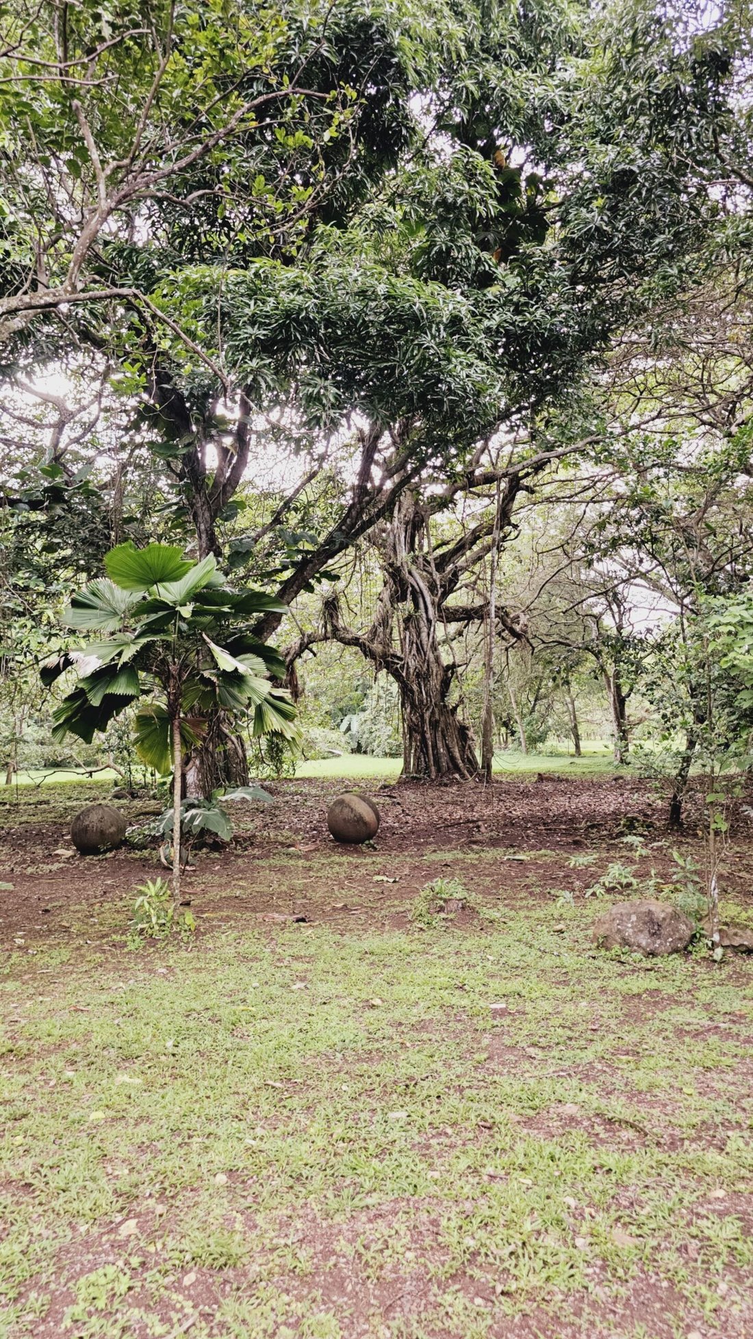 House in Ceiba, Alajuela Province, Costa Rica 4 - 18239179