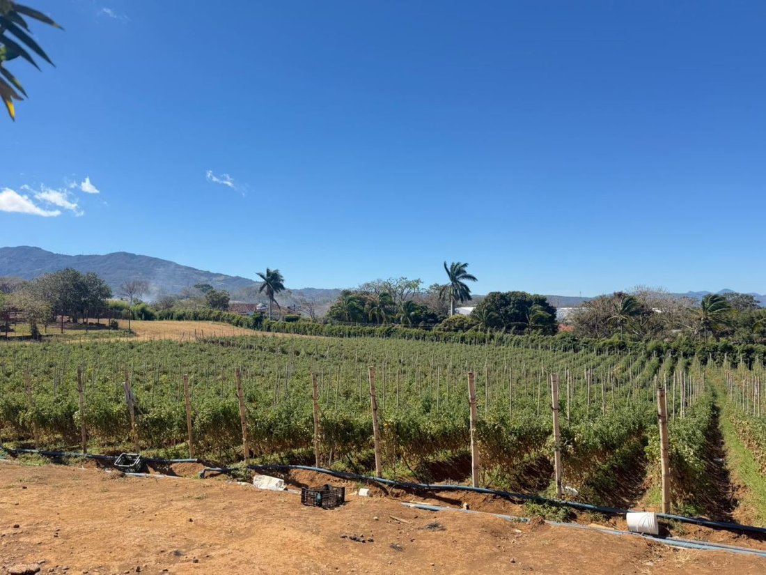 Land in Alajuela, Costa Rica 1 - 18240135