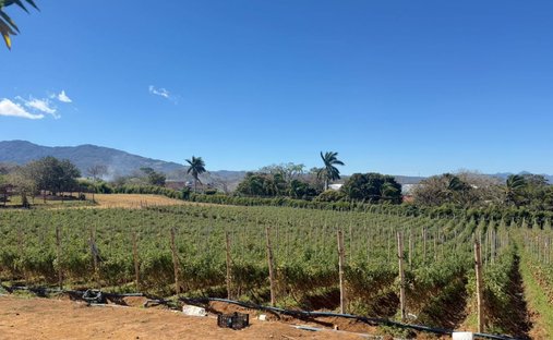 Terreno en Alajuela, Costa Rica 1