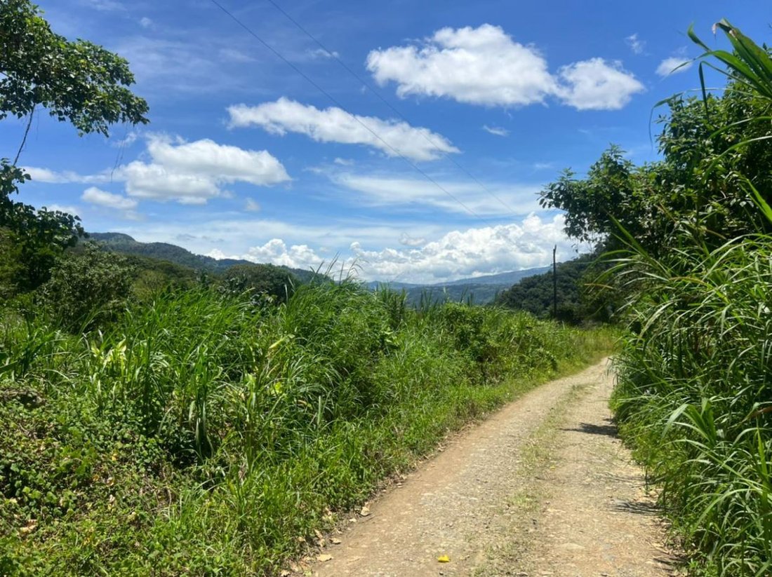 Terreno en Paraíso, Provincia de Cartago, Costa Rica 5 - 18240736