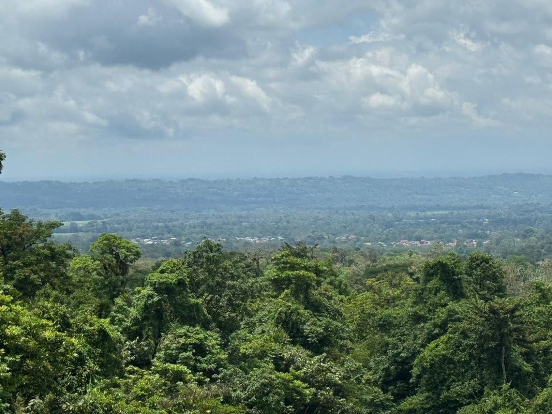 Terrain à Zeta trece, Alajuela, Costa Rica 1 - 18236957