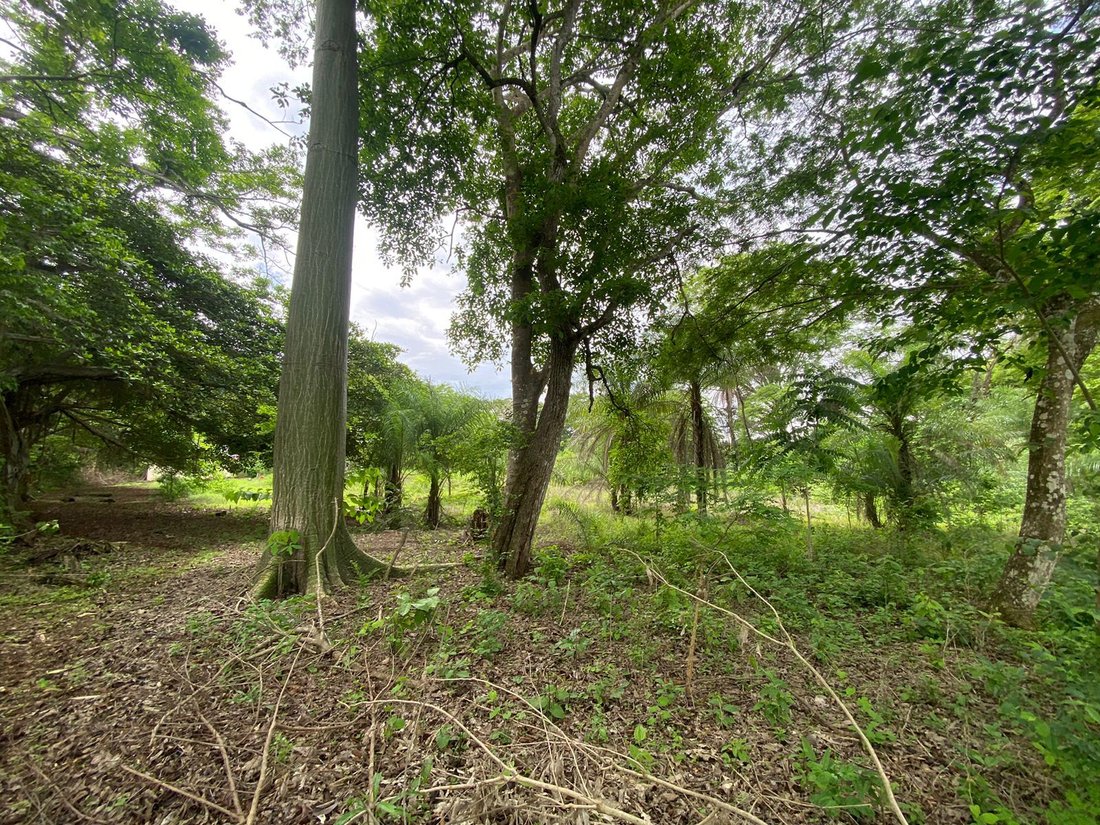 Land in Orotina, Orotina, Costa Rica 2 - 18239022