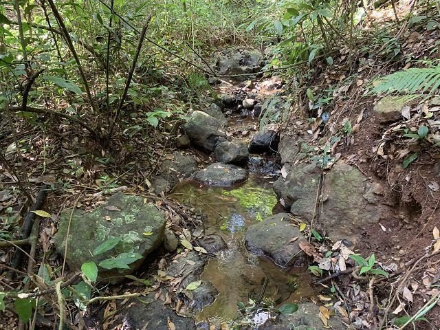 Land in Porvenir, Guanacaste Province, Costa Rica 5 - 18237293