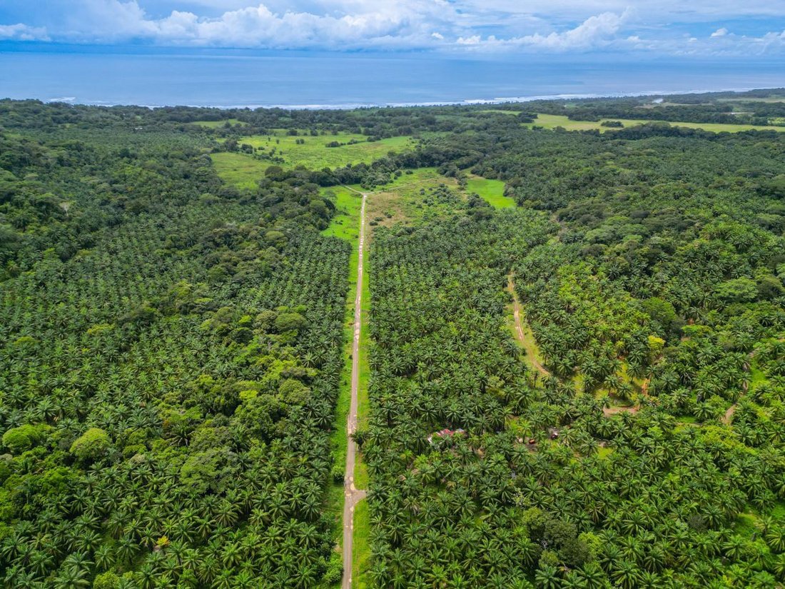 Land in Parrita, Parrita, Costa Rica 2 - 18238062