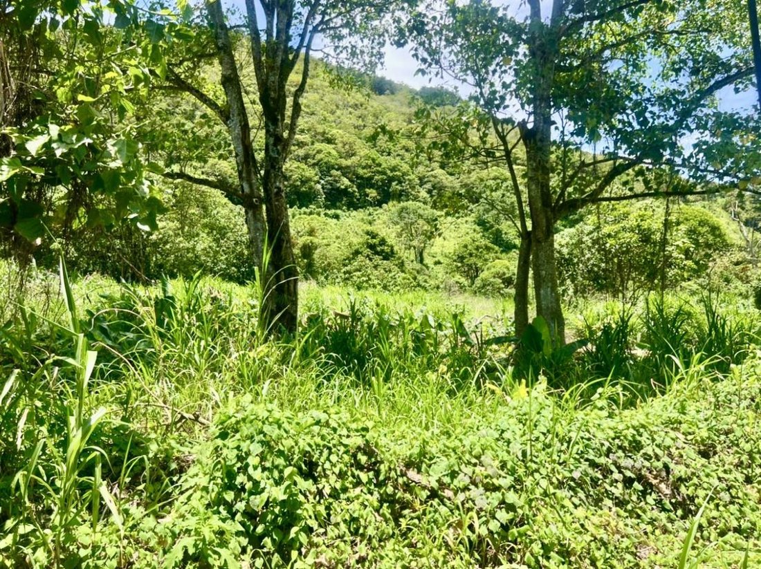 Terreno en Paraíso, Provincia de Cartago, Costa Rica 3 - 18240736