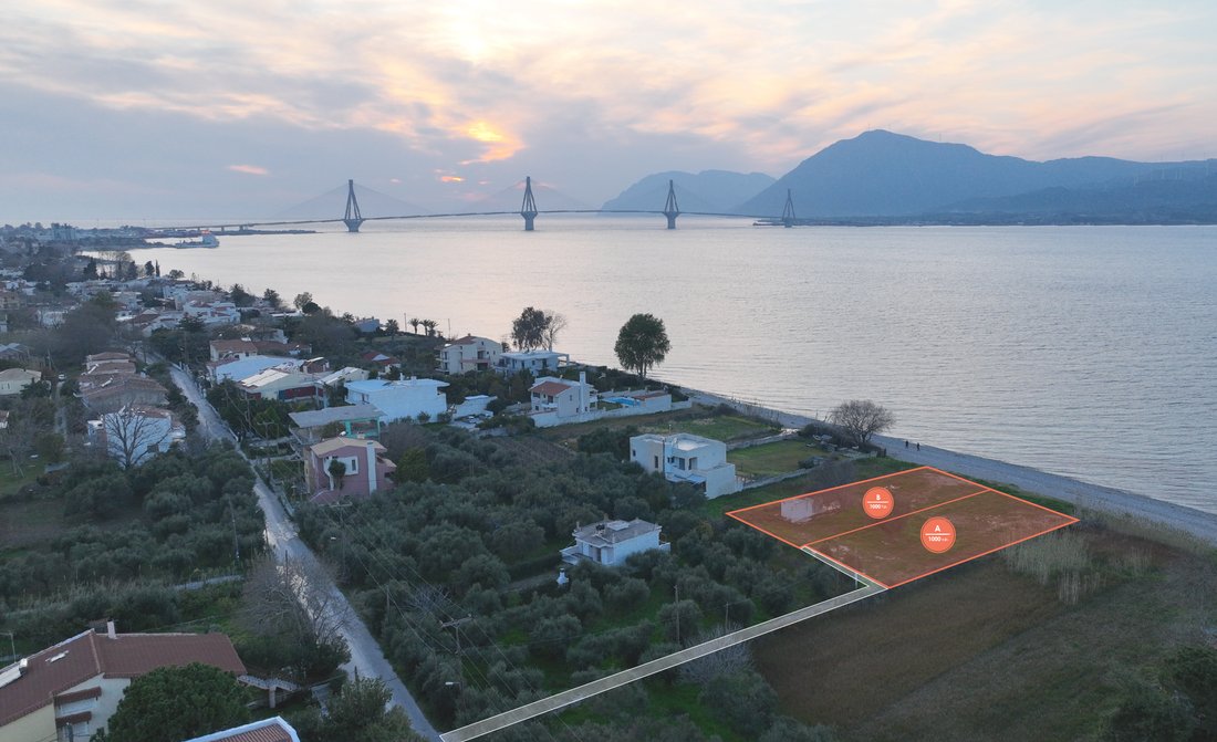 Land in Agiou Basileiou, Peloponnese, Western Greece and the Ionian, Greece 1 - 14306500