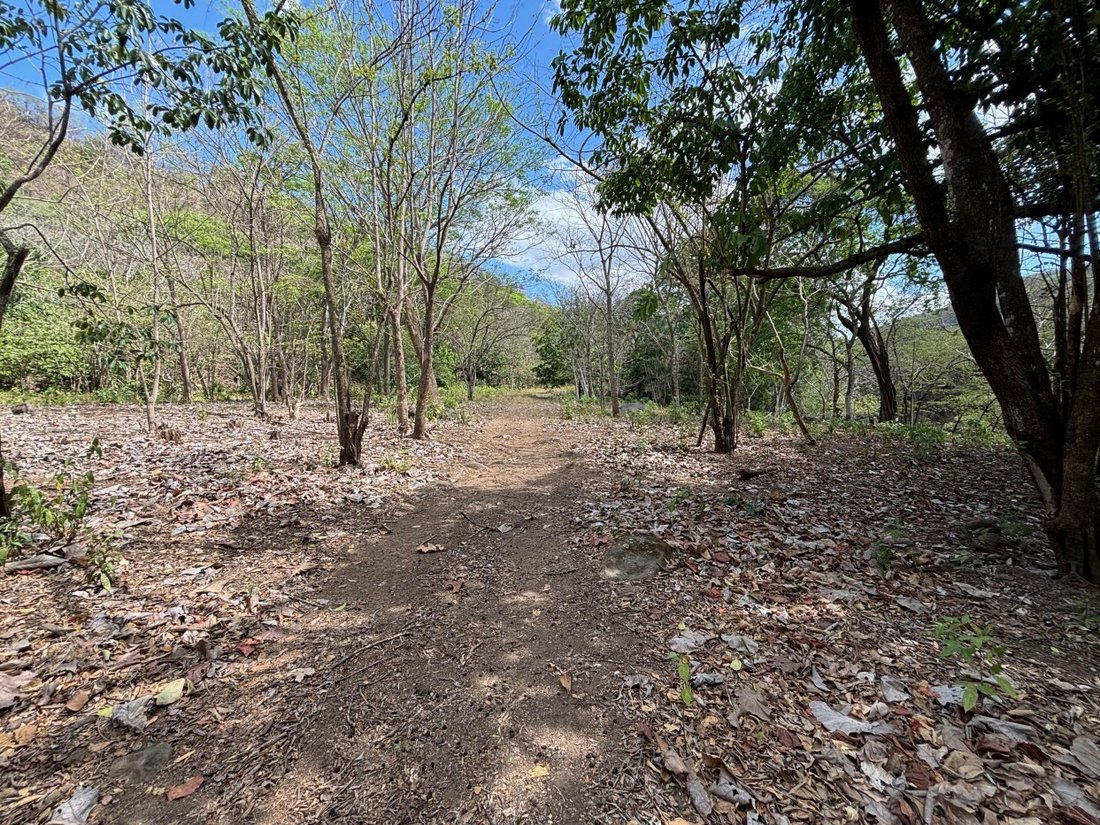 Land in Concepción, Guanacaste Province, Costa Rica 4 - 18240699