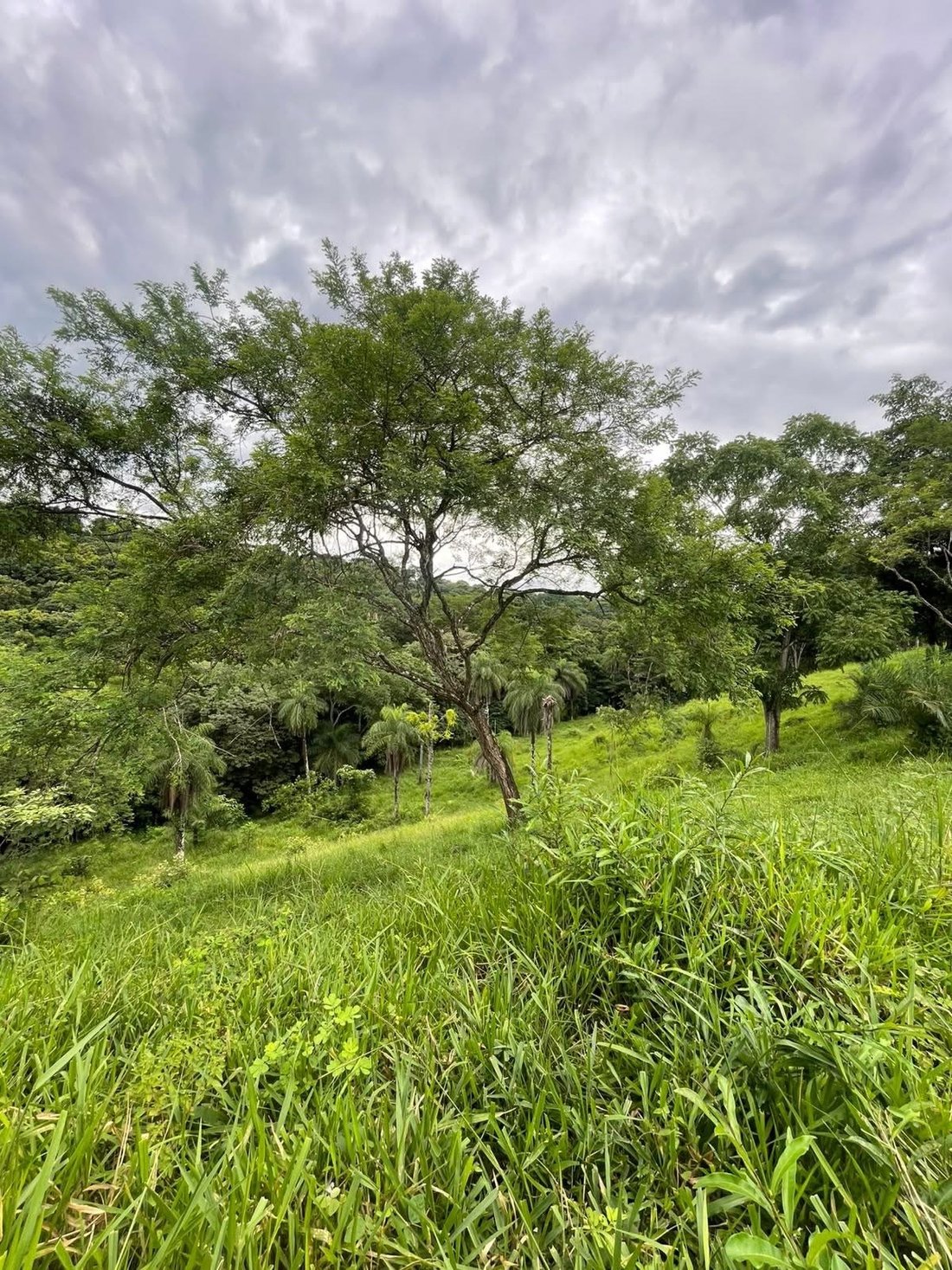 Terrain à Carara, San José, Costa Rica 4 - 18239288