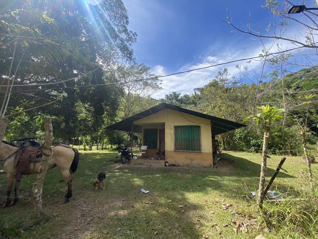 Land in Ciudad Cortés, Puntarenas Province, Costa Rica 3 - 18241732