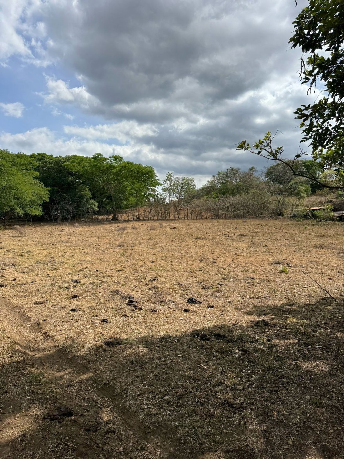 Land in Alajuela, Costa Rica 1 - 18241004