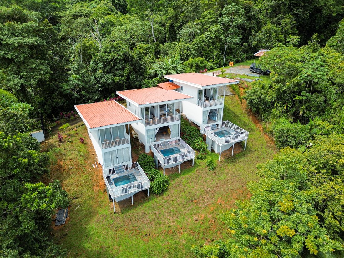 House in Quebrada Ganado, Puntarenas Province, Costa Rica 1 - 18246108