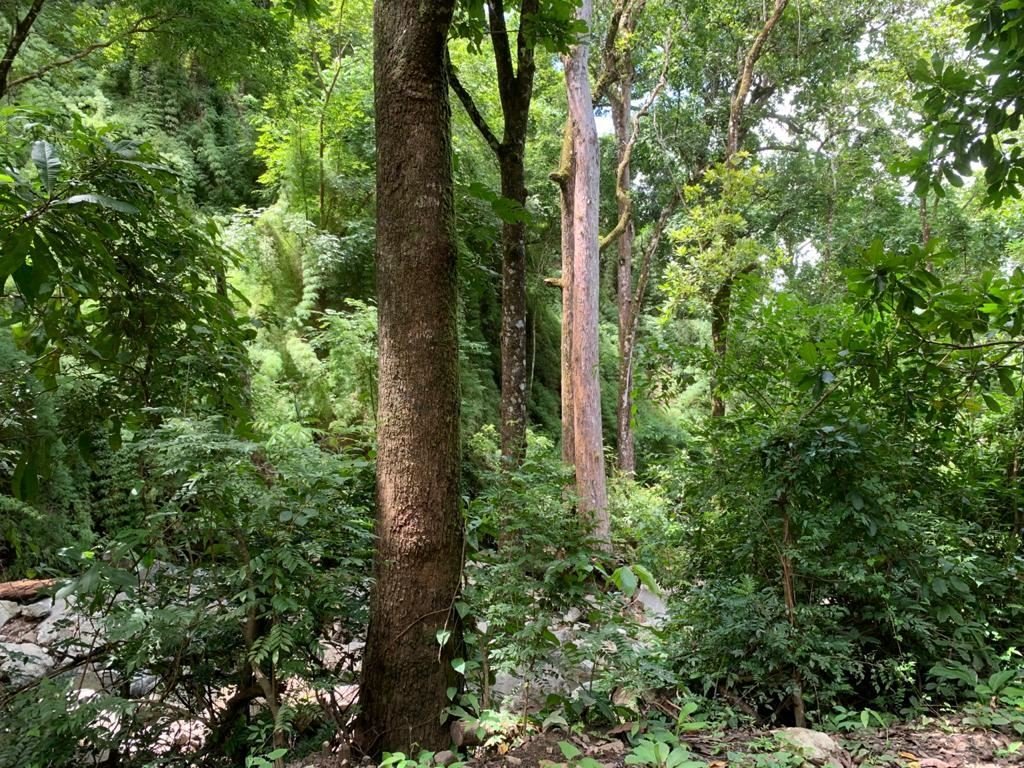 Land in Carmona, Guanacaste Province, Costa Rica 3 - 18237022