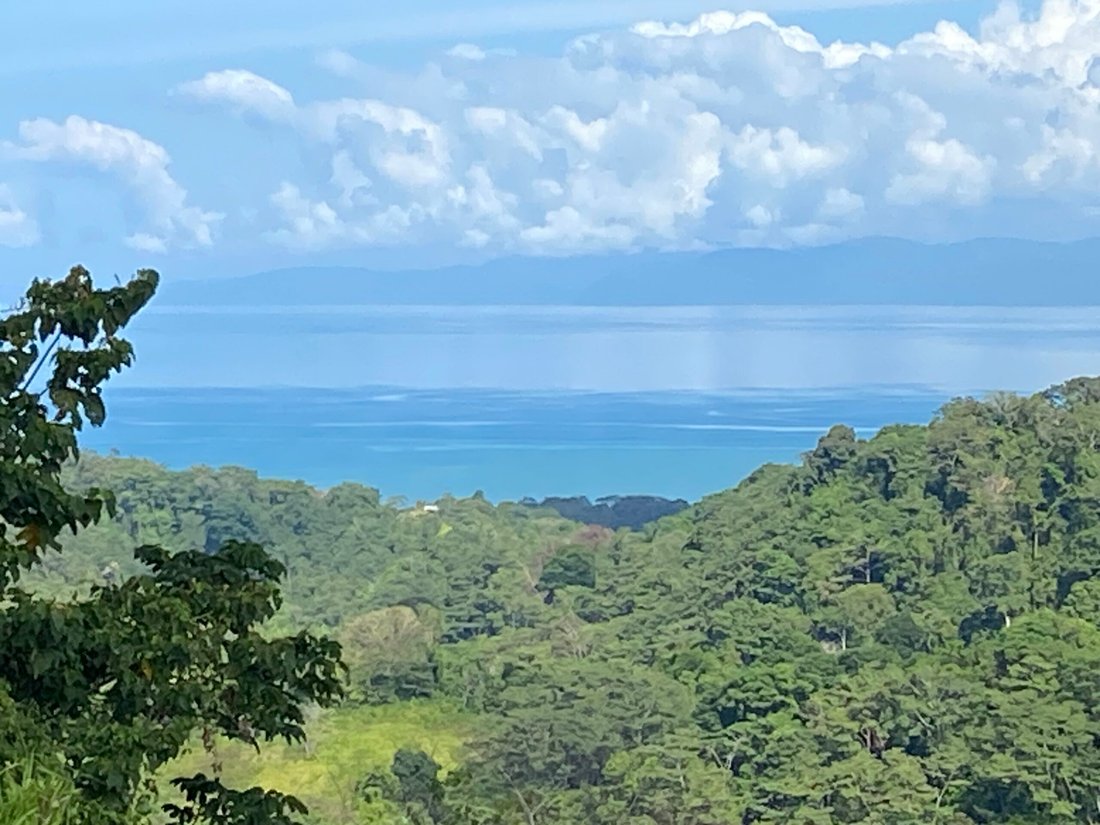 Land in Cuervito, Puntarenas Province, Costa Rica 1 - 18246540