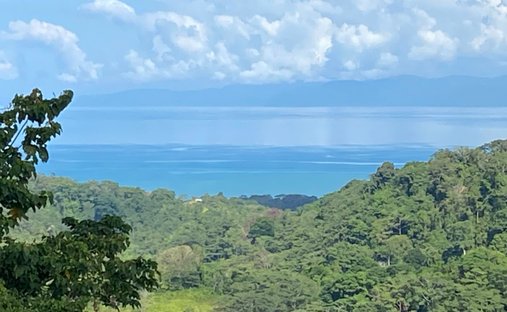 Land in Cuervito, Provinz Puntarenas, Costa Rica 1