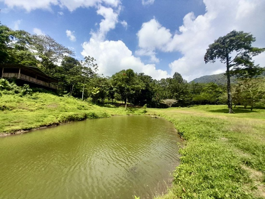 Land in San Carlos, San Ramón, Costa Rica 2 - 18238567