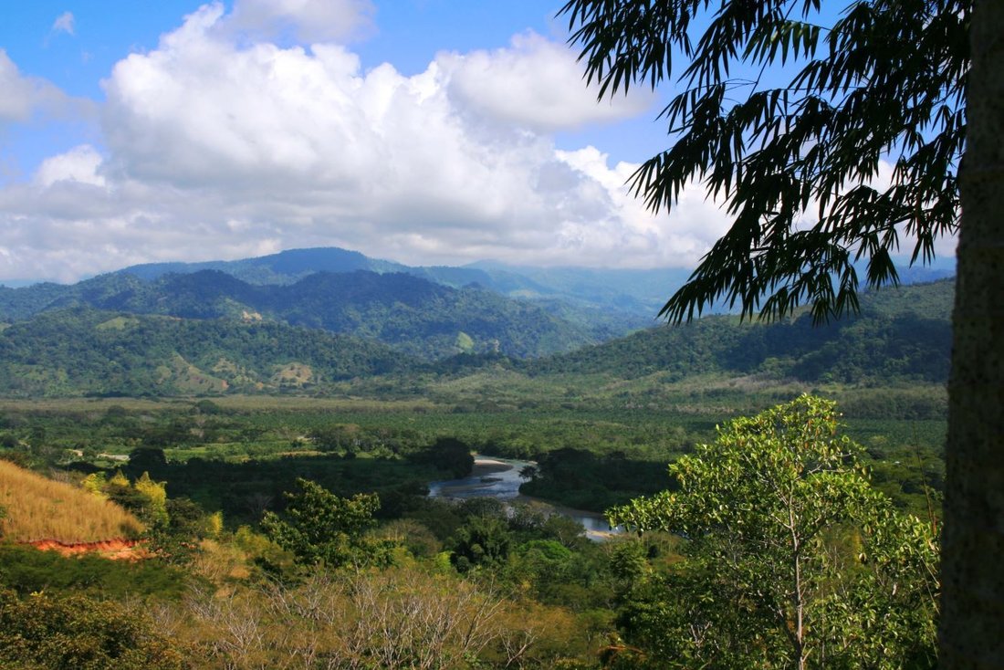 Land in Naranjito, Puntarenas Province, Costa Rica 1 - 18237916