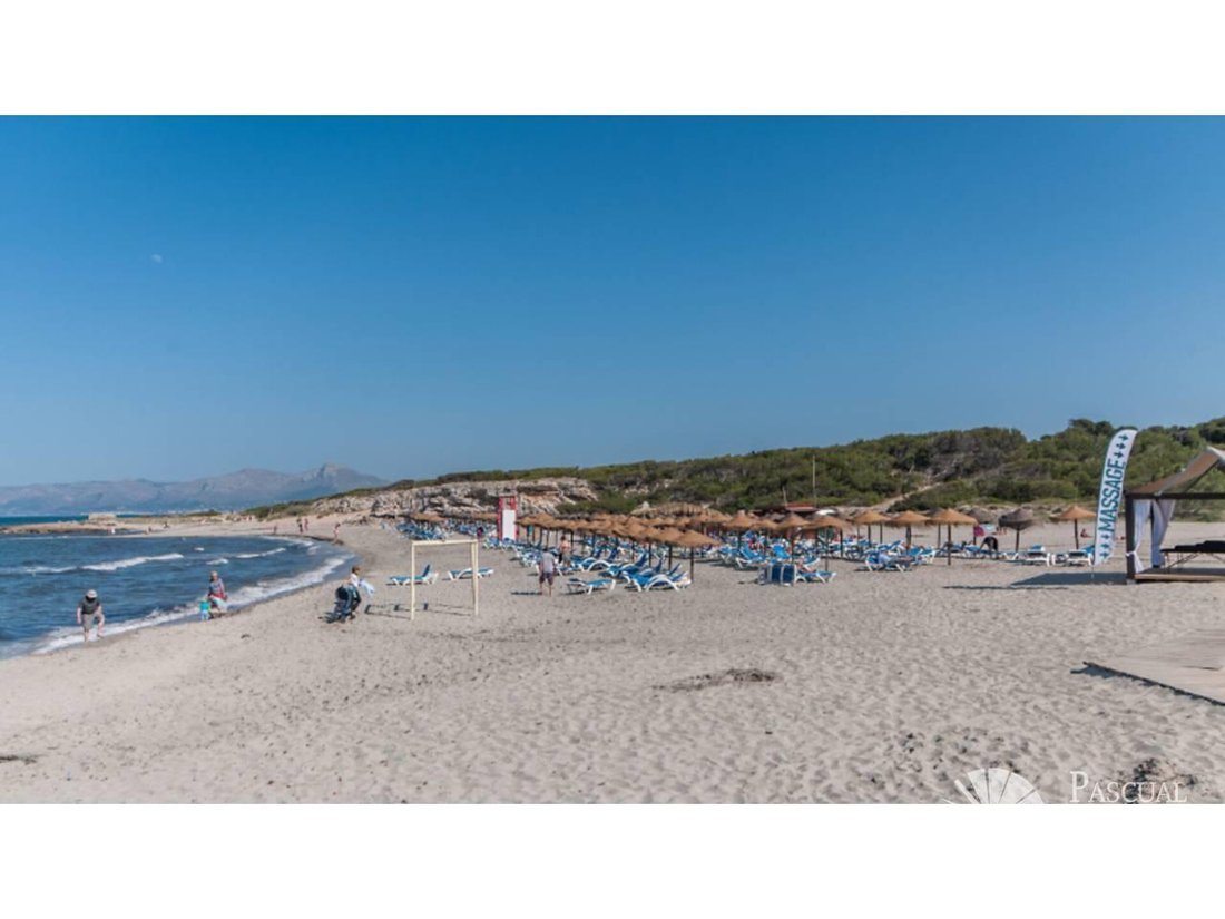 Land in Santa Margalida, Balearic Islands, Spain 5 - 18241842