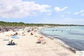 Finca in Campos, Balearische Inseln, Spanien 5 - 18236259