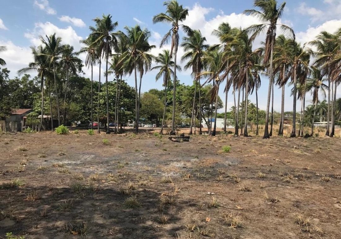 Land in El Roble, Puntarenas Province, Costa Rica 1 - 18240854