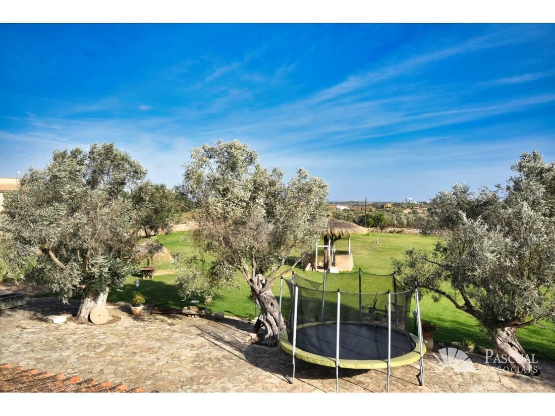 House in Santa Margalida, Balearic Islands, Spain 4 - 18242808