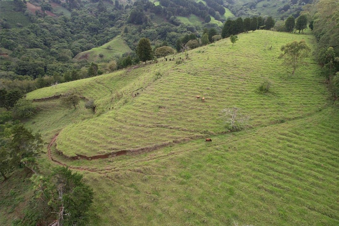 Terreno en Naranjo, Provincia de Alajuela, Costa Rica 5 - 18238485