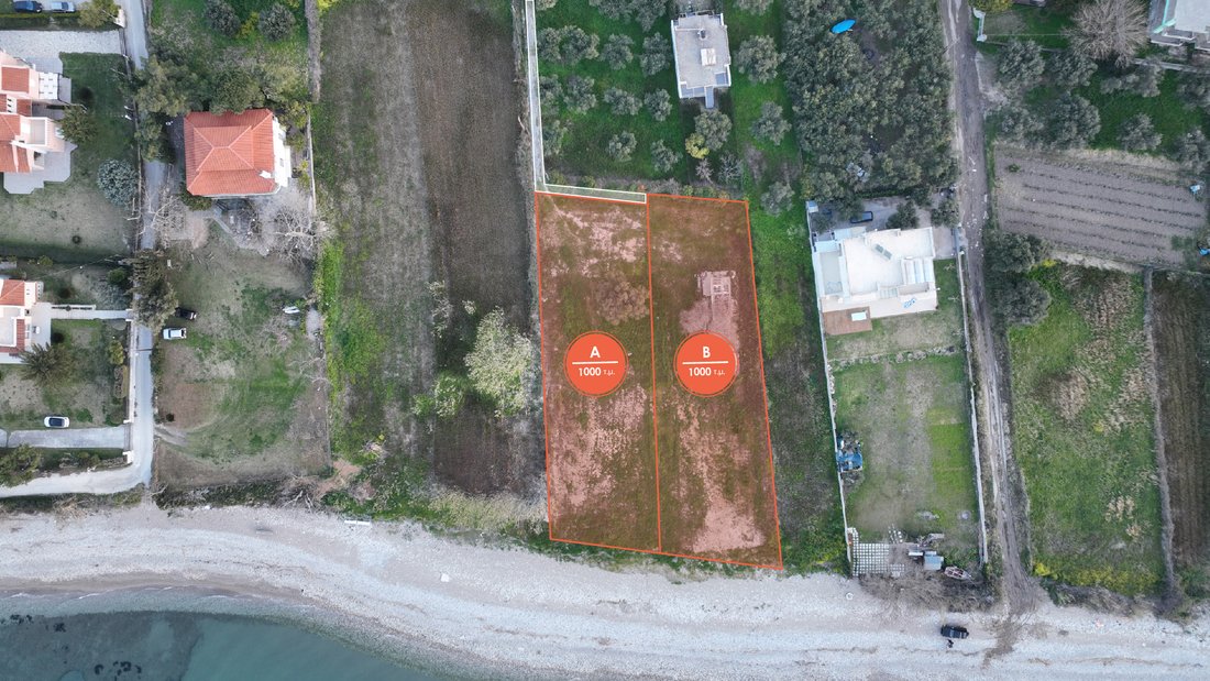 Land in Agiou Basileiou, Peloponnese, Western Greece and the Ionian, Greece 5 - 14306500