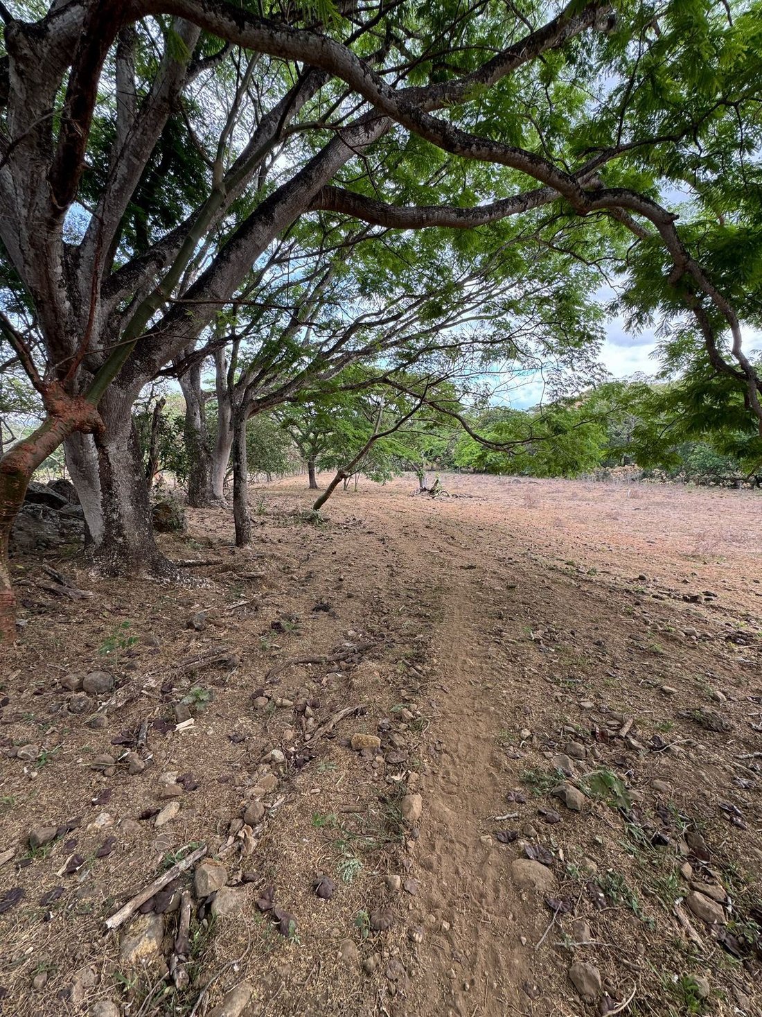 Land in Alajuela, Costa Rica 4 - 18241004