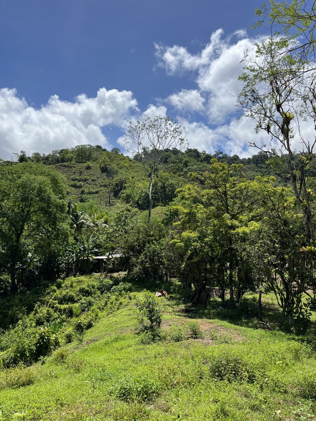 Land in Savegre de Aguirre, Puntarenas Province, Costa Rica 4 - 18237481