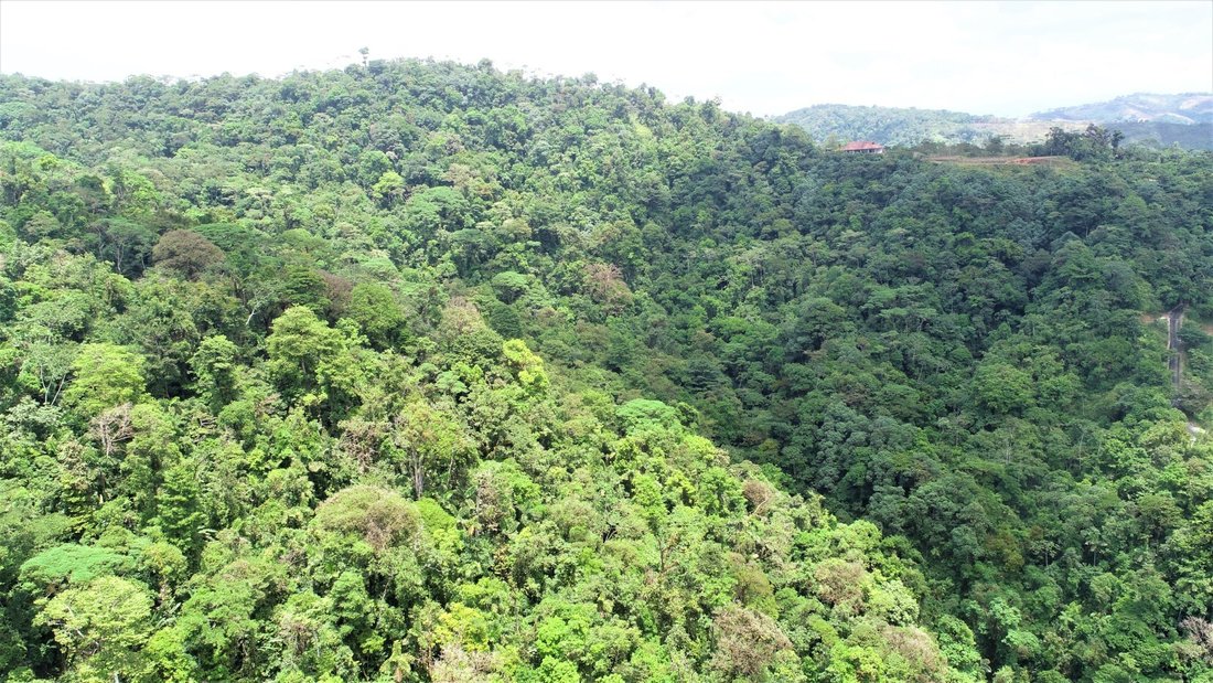 Land in Coronado, Puntarenas Province, Costa Rica 5 - 18241262