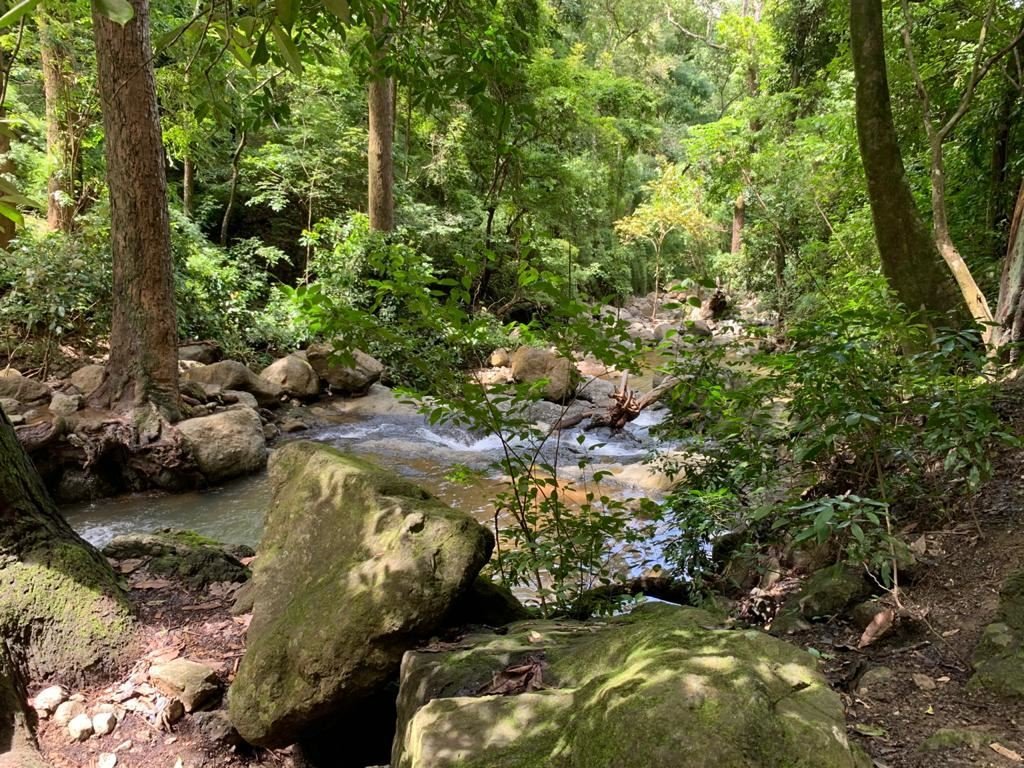 Land in Carmona, Guanacaste Province, Costa Rica 2 - 18237022