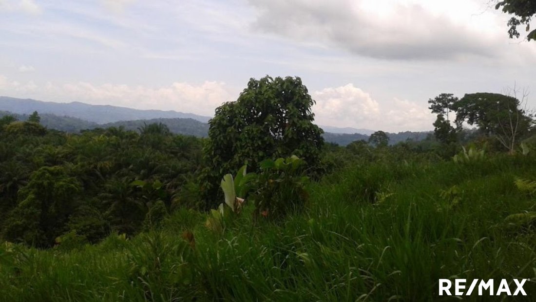 Land in Llano Bonito, Puntarenas Province, Costa Rica 1 - 18246538