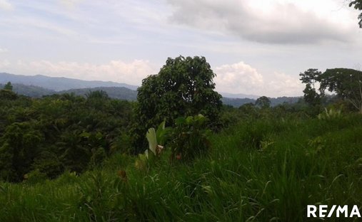 Land in Llano Bonito, Puntarenas Province, Costa Rica 1
