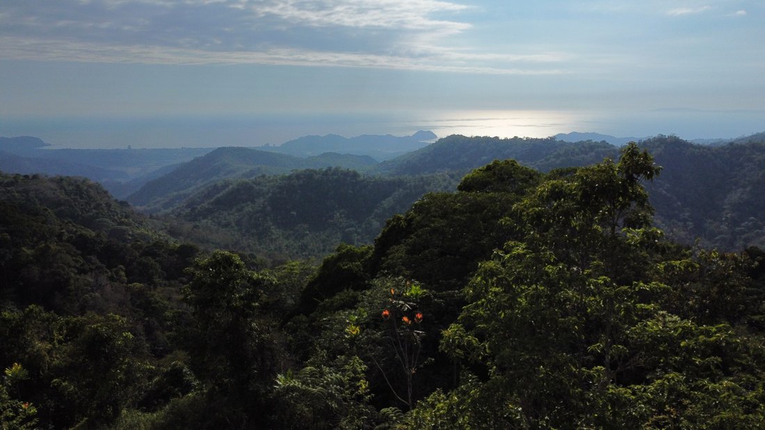 Land in Garabito, Costa Rica 1 - 18241828