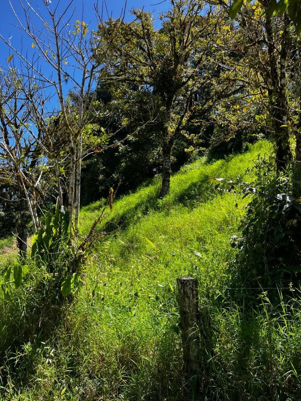 Land in Puntarenas, Tilarán, Costa Rica 2 - 18240928