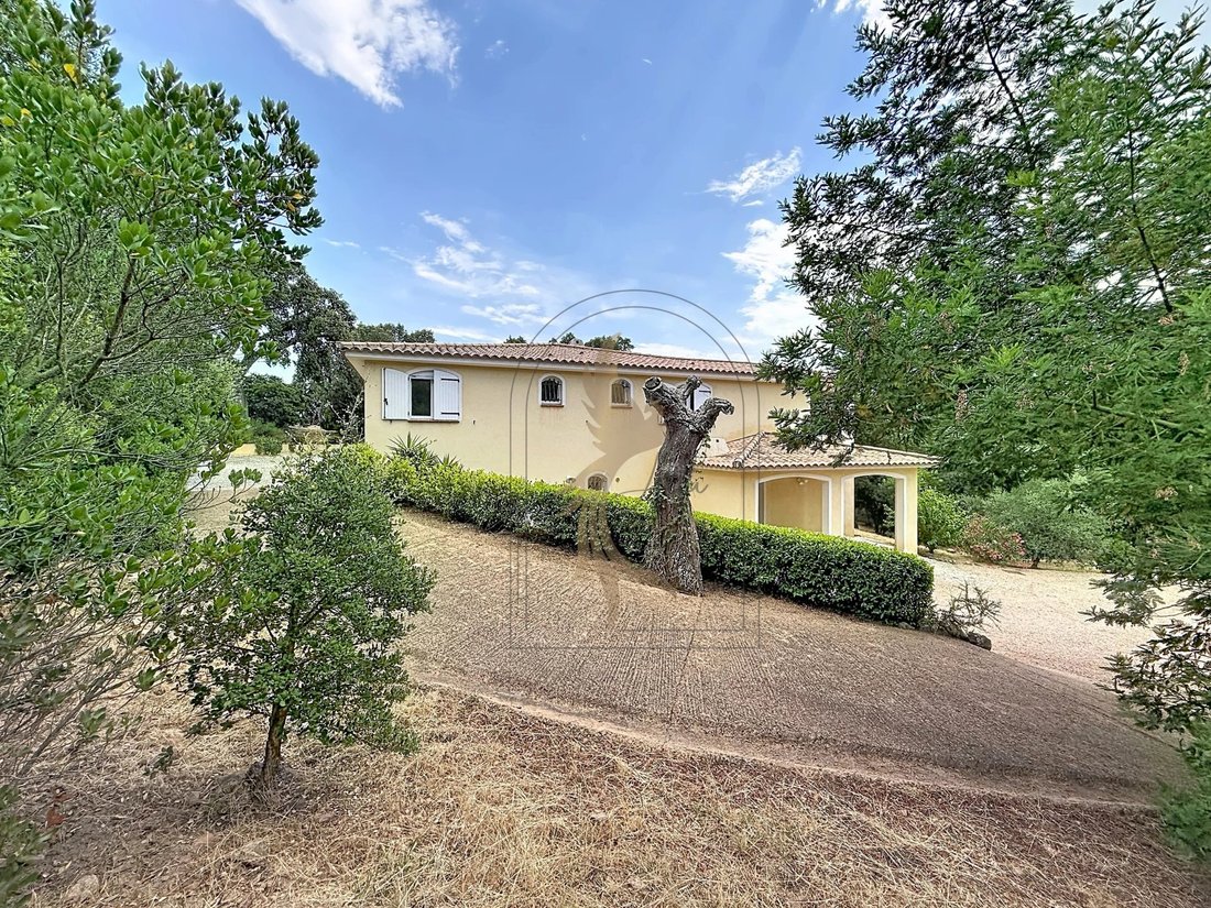 Villa in Lecci, Corsica, France 3 - 18239211